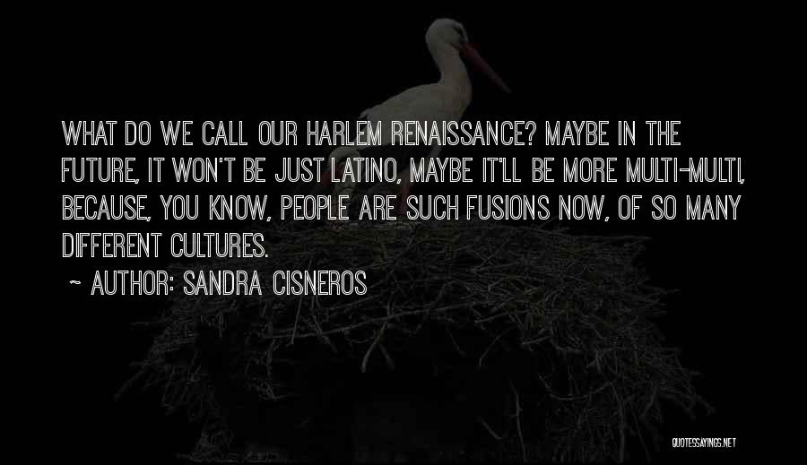 Sandra Cisneros Quotes: What Do We Call Our Harlem Renaissance? Maybe In The Future, It Won't Be Just Latino, Maybe It'll Be More