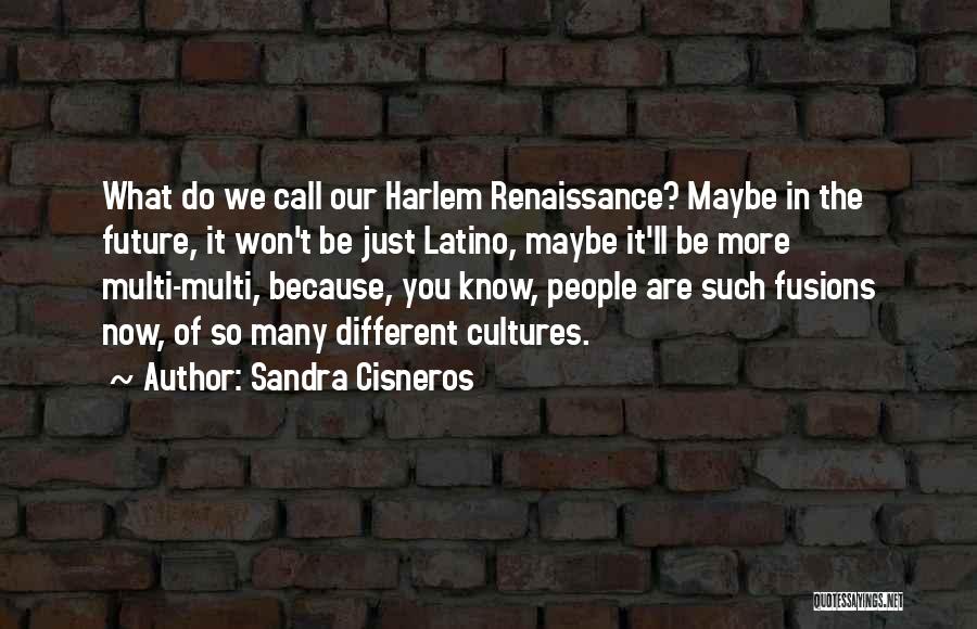 Sandra Cisneros Quotes: What Do We Call Our Harlem Renaissance? Maybe In The Future, It Won't Be Just Latino, Maybe It'll Be More