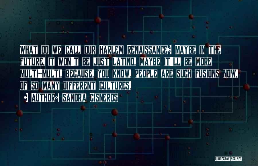 Sandra Cisneros Quotes: What Do We Call Our Harlem Renaissance? Maybe In The Future, It Won't Be Just Latino, Maybe It'll Be More