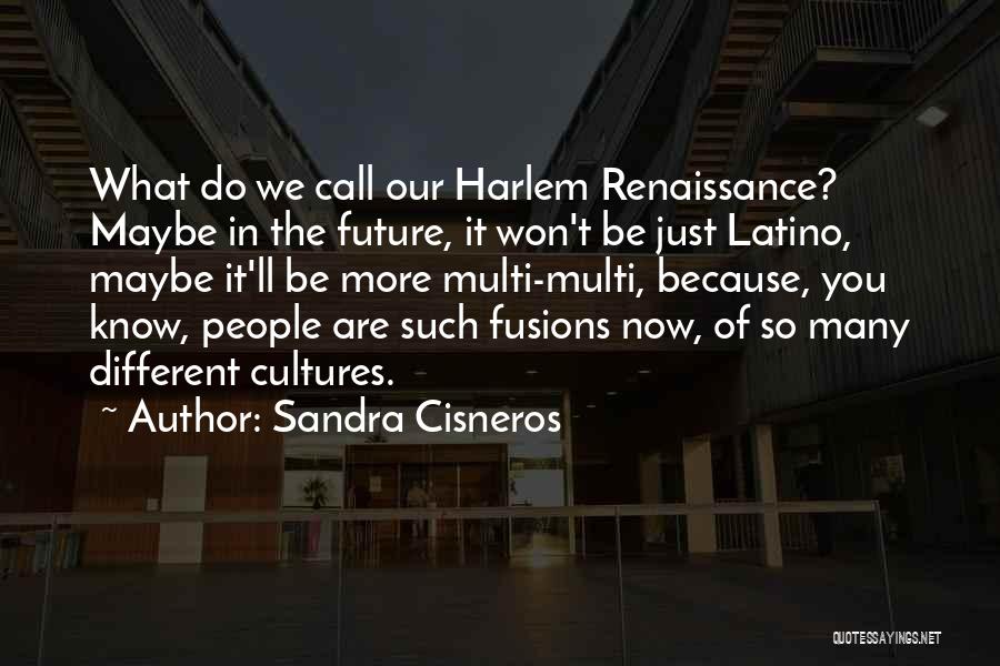 Sandra Cisneros Quotes: What Do We Call Our Harlem Renaissance? Maybe In The Future, It Won't Be Just Latino, Maybe It'll Be More