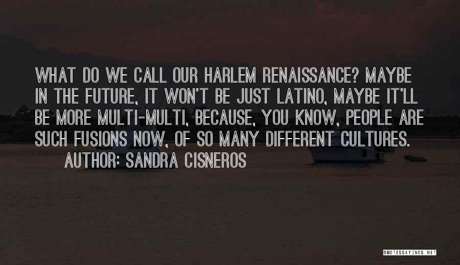 Sandra Cisneros Quotes: What Do We Call Our Harlem Renaissance? Maybe In The Future, It Won't Be Just Latino, Maybe It'll Be More