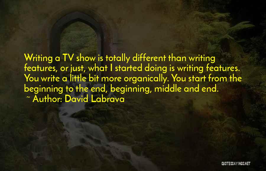 David Labrava Quotes: Writing A Tv Show Is Totally Different Than Writing Features, Or Just, What I Started Doing Is Writing Features. You