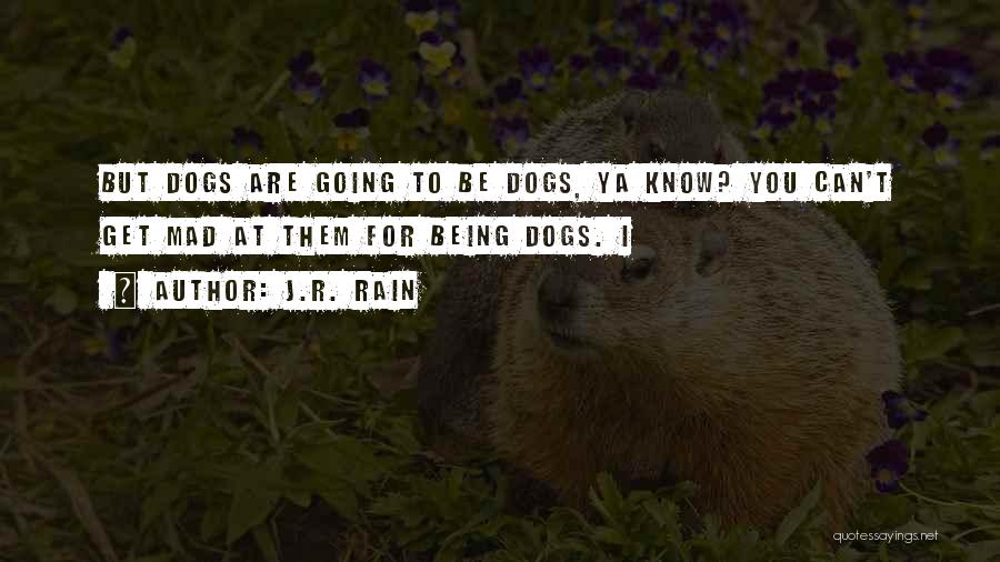 J.R. Rain Quotes: But Dogs Are Going To Be Dogs, Ya Know? You Can't Get Mad At Them For Being Dogs. I