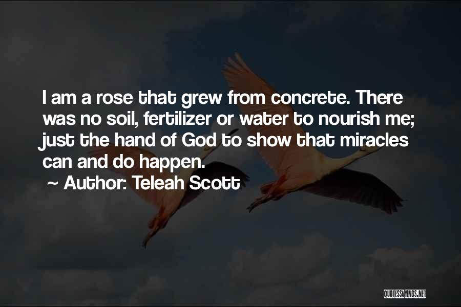 Teleah Scott Quotes: I Am A Rose That Grew From Concrete. There Was No Soil, Fertilizer Or Water To Nourish Me; Just The