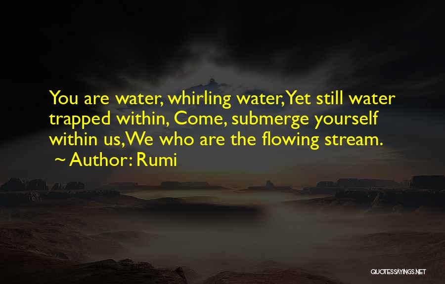 Rumi Quotes: You Are Water, Whirling Water,yet Still Water Trapped Within, Come, Submerge Yourself Within Us,we Who Are The Flowing Stream.