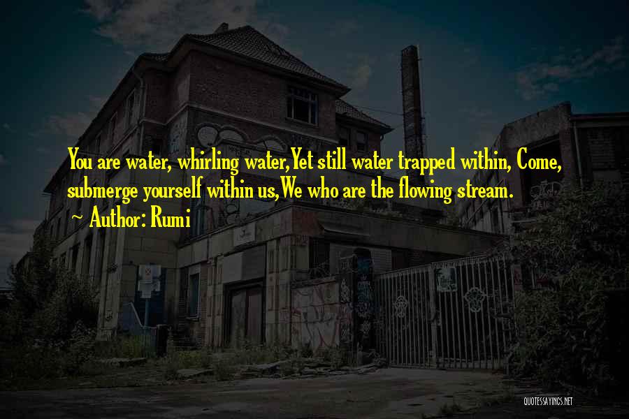 Rumi Quotes: You Are Water, Whirling Water,yet Still Water Trapped Within, Come, Submerge Yourself Within Us,we Who Are The Flowing Stream.