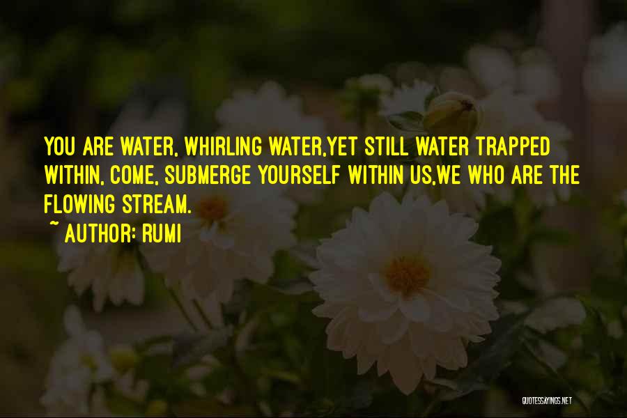 Rumi Quotes: You Are Water, Whirling Water,yet Still Water Trapped Within, Come, Submerge Yourself Within Us,we Who Are The Flowing Stream.