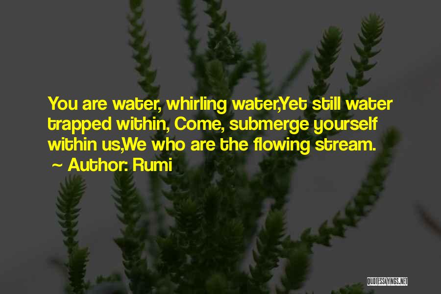 Rumi Quotes: You Are Water, Whirling Water,yet Still Water Trapped Within, Come, Submerge Yourself Within Us,we Who Are The Flowing Stream.