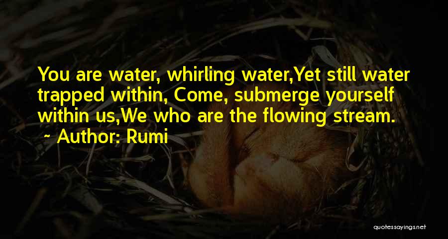 Rumi Quotes: You Are Water, Whirling Water,yet Still Water Trapped Within, Come, Submerge Yourself Within Us,we Who Are The Flowing Stream.