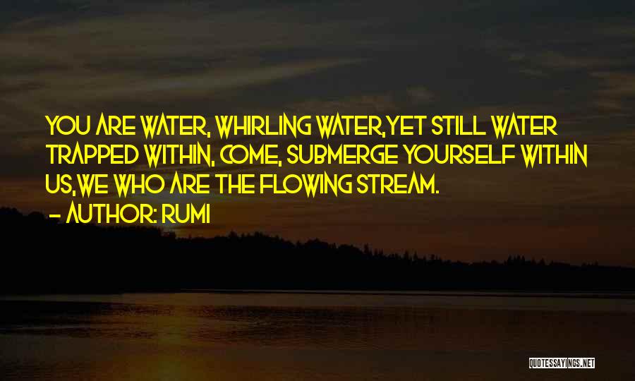 Rumi Quotes: You Are Water, Whirling Water,yet Still Water Trapped Within, Come, Submerge Yourself Within Us,we Who Are The Flowing Stream.