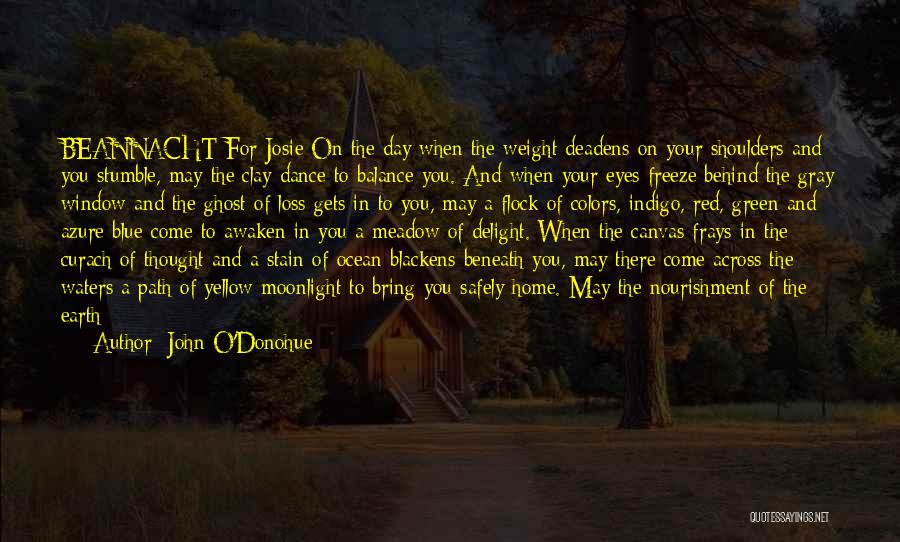 John O'Donohue Quotes: Beannacht For Josie On The Day When The Weight Deadens On Your Shoulders And You Stumble, May The Clay Dance