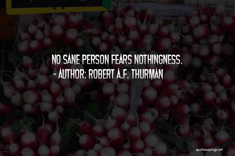 Robert A.F. Thurman Quotes: No Sane Person Fears Nothingness.