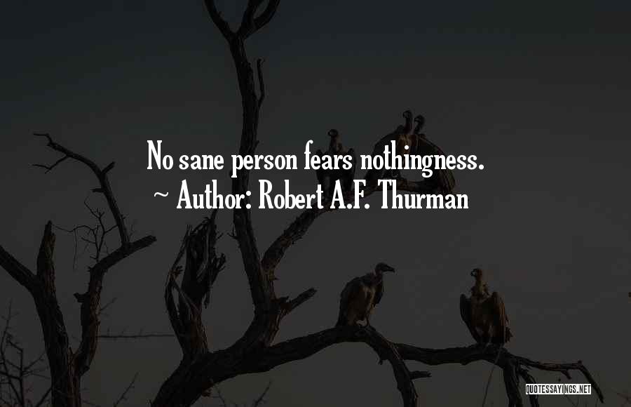 Robert A.F. Thurman Quotes: No Sane Person Fears Nothingness.