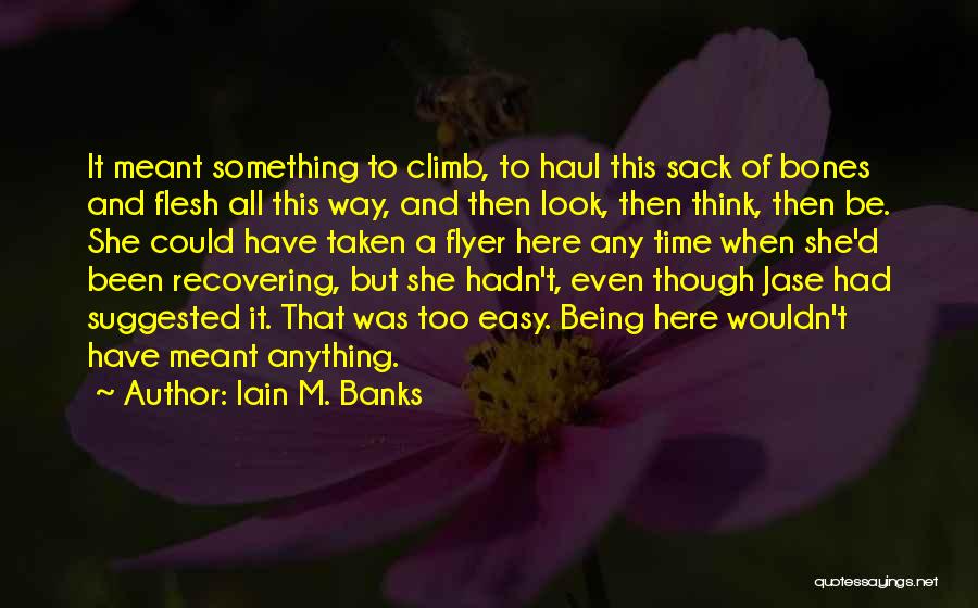 Iain M. Banks Quotes: It Meant Something To Climb, To Haul This Sack Of Bones And Flesh All This Way, And Then Look, Then