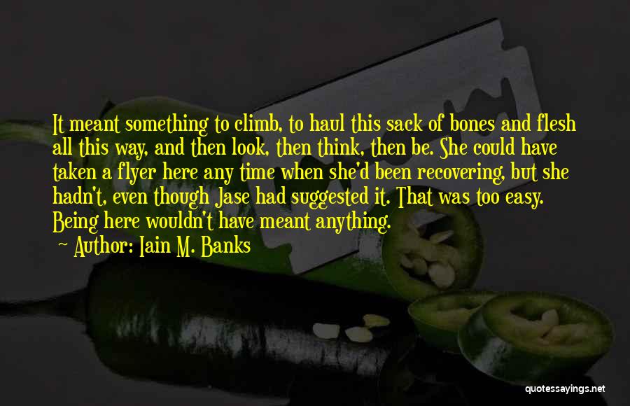 Iain M. Banks Quotes: It Meant Something To Climb, To Haul This Sack Of Bones And Flesh All This Way, And Then Look, Then