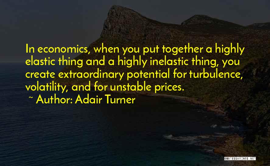 Adair Turner Quotes: In Economics, When You Put Together A Highly Elastic Thing And A Highly Inelastic Thing, You Create Extraordinary Potential For