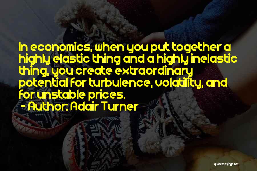 Adair Turner Quotes: In Economics, When You Put Together A Highly Elastic Thing And A Highly Inelastic Thing, You Create Extraordinary Potential For