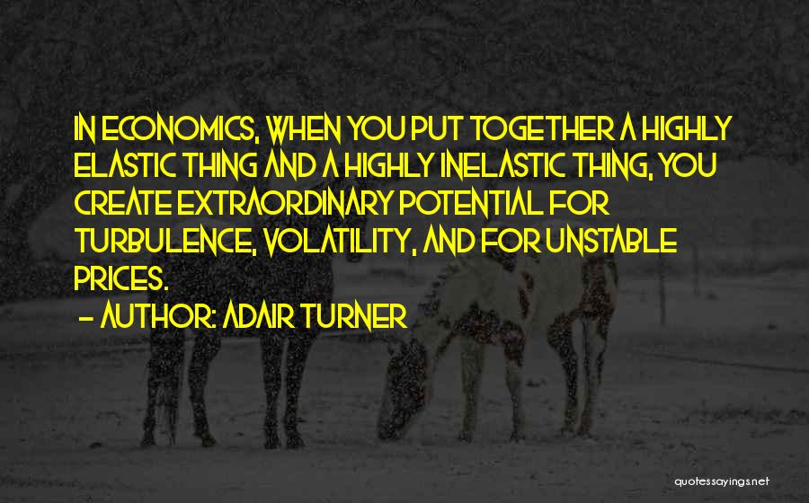 Adair Turner Quotes: In Economics, When You Put Together A Highly Elastic Thing And A Highly Inelastic Thing, You Create Extraordinary Potential For