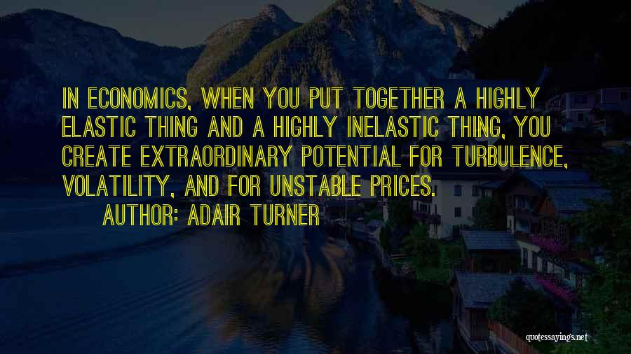 Adair Turner Quotes: In Economics, When You Put Together A Highly Elastic Thing And A Highly Inelastic Thing, You Create Extraordinary Potential For