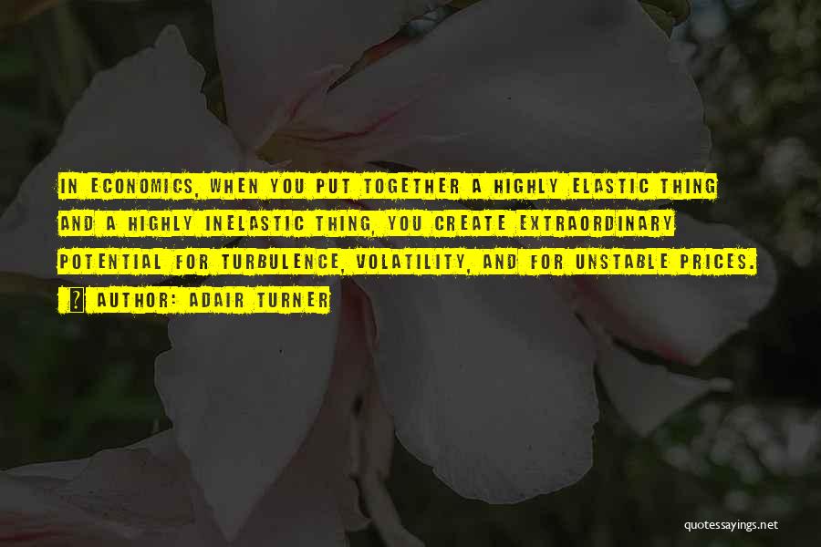 Adair Turner Quotes: In Economics, When You Put Together A Highly Elastic Thing And A Highly Inelastic Thing, You Create Extraordinary Potential For