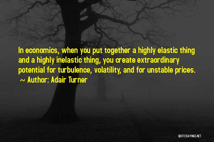 Adair Turner Quotes: In Economics, When You Put Together A Highly Elastic Thing And A Highly Inelastic Thing, You Create Extraordinary Potential For