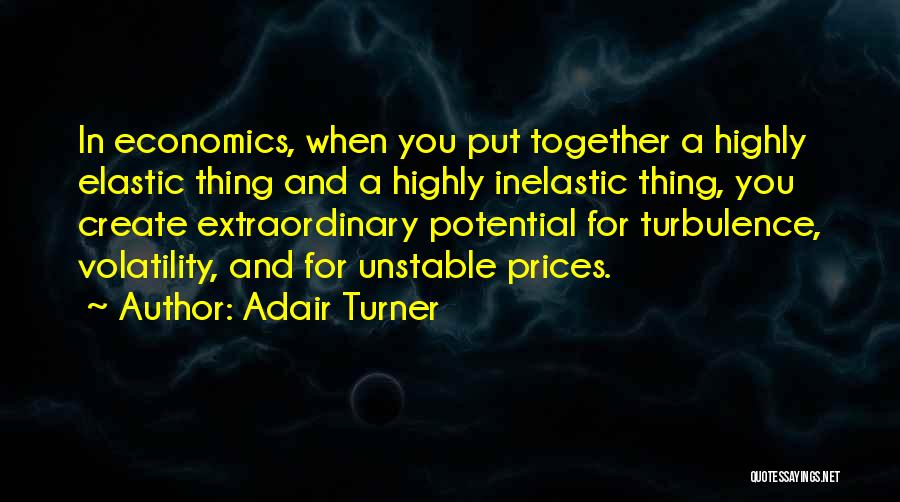 Adair Turner Quotes: In Economics, When You Put Together A Highly Elastic Thing And A Highly Inelastic Thing, You Create Extraordinary Potential For