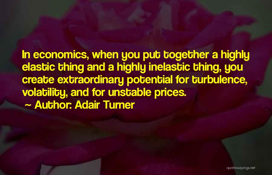 Adair Turner Quotes: In Economics, When You Put Together A Highly Elastic Thing And A Highly Inelastic Thing, You Create Extraordinary Potential For