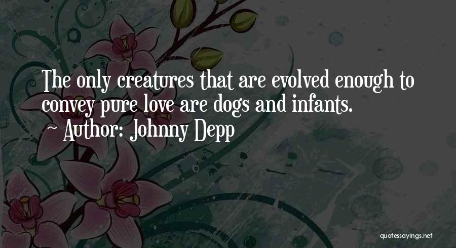 Johnny Depp Quotes: The Only Creatures That Are Evolved Enough To Convey Pure Love Are Dogs And Infants.