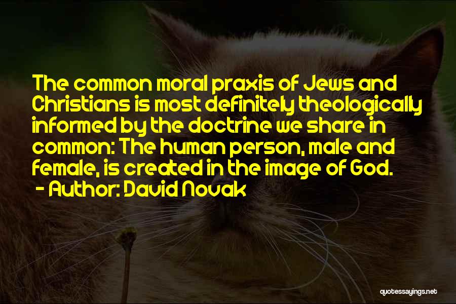 David Novak Quotes: The Common Moral Praxis Of Jews And Christians Is Most Definitely Theologically Informed By The Doctrine We Share In Common: