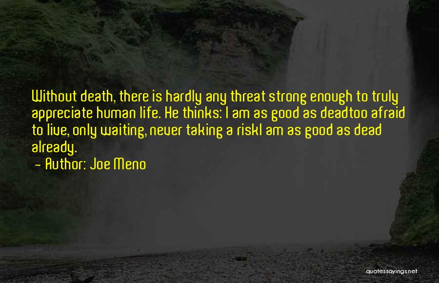 Joe Meno Quotes: Without Death, There Is Hardly Any Threat Strong Enough To Truly Appreciate Human Life. He Thinks: I Am As Good