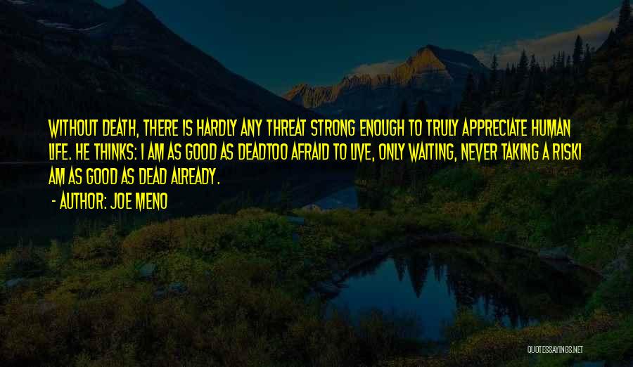 Joe Meno Quotes: Without Death, There Is Hardly Any Threat Strong Enough To Truly Appreciate Human Life. He Thinks: I Am As Good