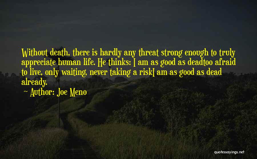 Joe Meno Quotes: Without Death, There Is Hardly Any Threat Strong Enough To Truly Appreciate Human Life. He Thinks: I Am As Good