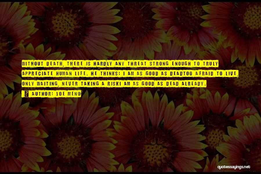 Joe Meno Quotes: Without Death, There Is Hardly Any Threat Strong Enough To Truly Appreciate Human Life. He Thinks: I Am As Good