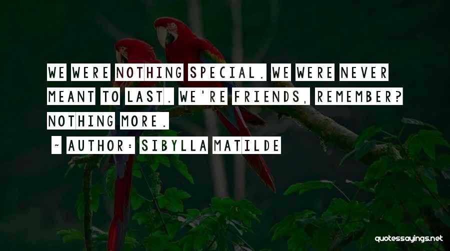 Sibylla Matilde Quotes: We Were Nothing Special. We Were Never Meant To Last. We're Friends, Remember? Nothing More.