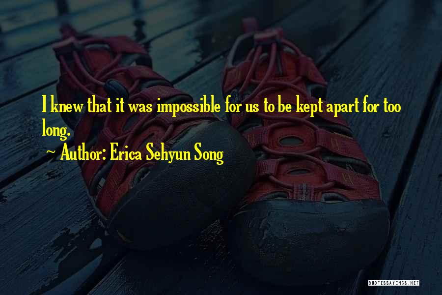 Erica Sehyun Song Quotes: I Knew That It Was Impossible For Us To Be Kept Apart For Too Long.