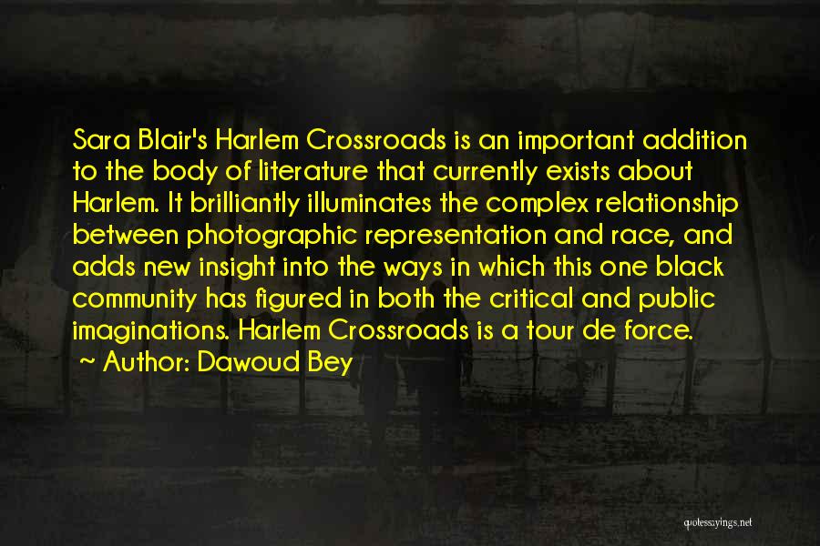 Dawoud Bey Quotes: Sara Blair's Harlem Crossroads Is An Important Addition To The Body Of Literature That Currently Exists About Harlem. It Brilliantly