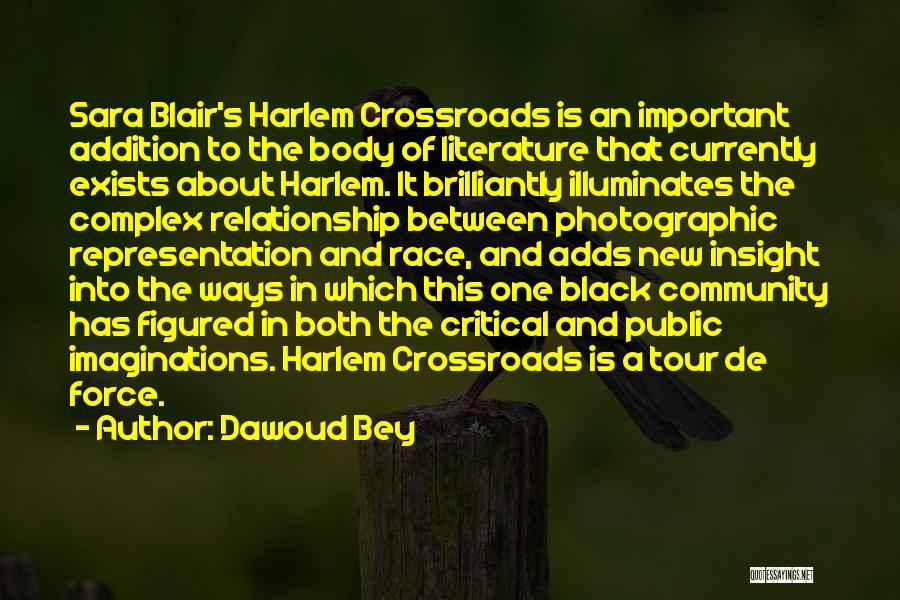 Dawoud Bey Quotes: Sara Blair's Harlem Crossroads Is An Important Addition To The Body Of Literature That Currently Exists About Harlem. It Brilliantly
