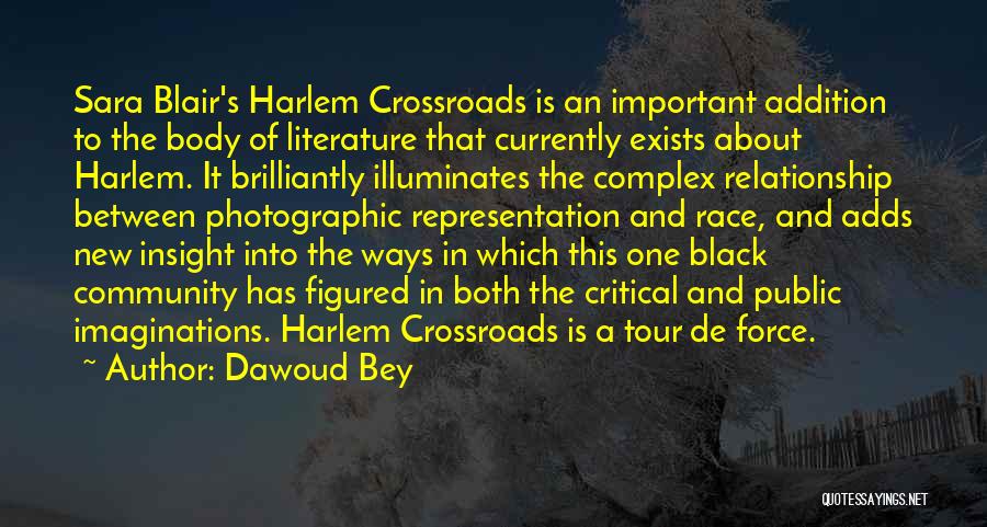 Dawoud Bey Quotes: Sara Blair's Harlem Crossroads Is An Important Addition To The Body Of Literature That Currently Exists About Harlem. It Brilliantly