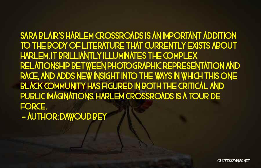 Dawoud Bey Quotes: Sara Blair's Harlem Crossroads Is An Important Addition To The Body Of Literature That Currently Exists About Harlem. It Brilliantly