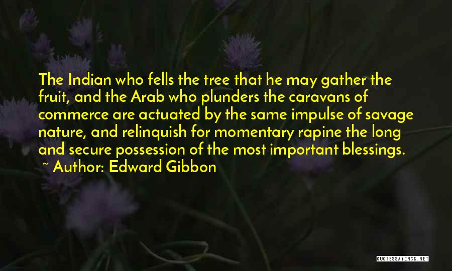 Edward Gibbon Quotes: The Indian Who Fells The Tree That He May Gather The Fruit, And The Arab Who Plunders The Caravans Of