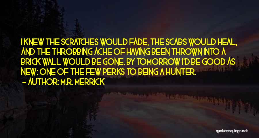 M.R. Merrick Quotes: I Knew The Scratches Would Fade, The Scabs Would Heal, And The Throbbing Ache Of Having Been Thrown Into A