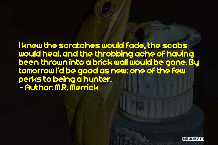 M.R. Merrick Quotes: I Knew The Scratches Would Fade, The Scabs Would Heal, And The Throbbing Ache Of Having Been Thrown Into A