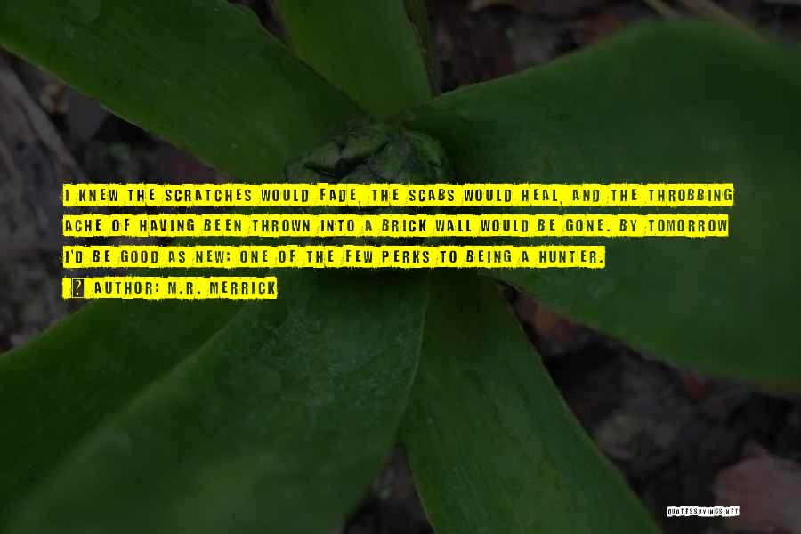 M.R. Merrick Quotes: I Knew The Scratches Would Fade, The Scabs Would Heal, And The Throbbing Ache Of Having Been Thrown Into A