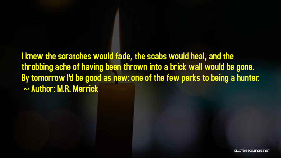 M.R. Merrick Quotes: I Knew The Scratches Would Fade, The Scabs Would Heal, And The Throbbing Ache Of Having Been Thrown Into A