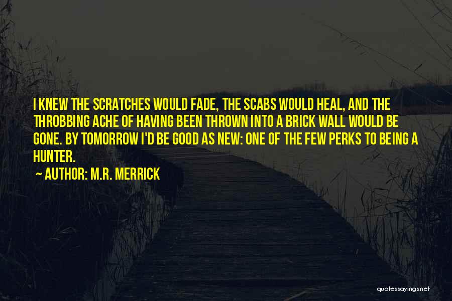 M.R. Merrick Quotes: I Knew The Scratches Would Fade, The Scabs Would Heal, And The Throbbing Ache Of Having Been Thrown Into A