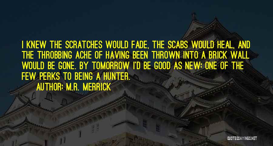 M.R. Merrick Quotes: I Knew The Scratches Would Fade, The Scabs Would Heal, And The Throbbing Ache Of Having Been Thrown Into A