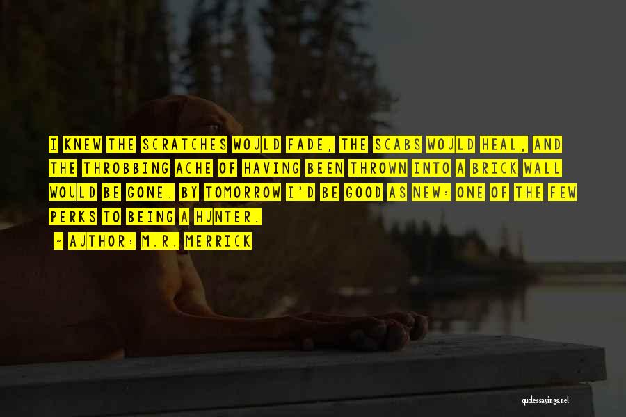 M.R. Merrick Quotes: I Knew The Scratches Would Fade, The Scabs Would Heal, And The Throbbing Ache Of Having Been Thrown Into A