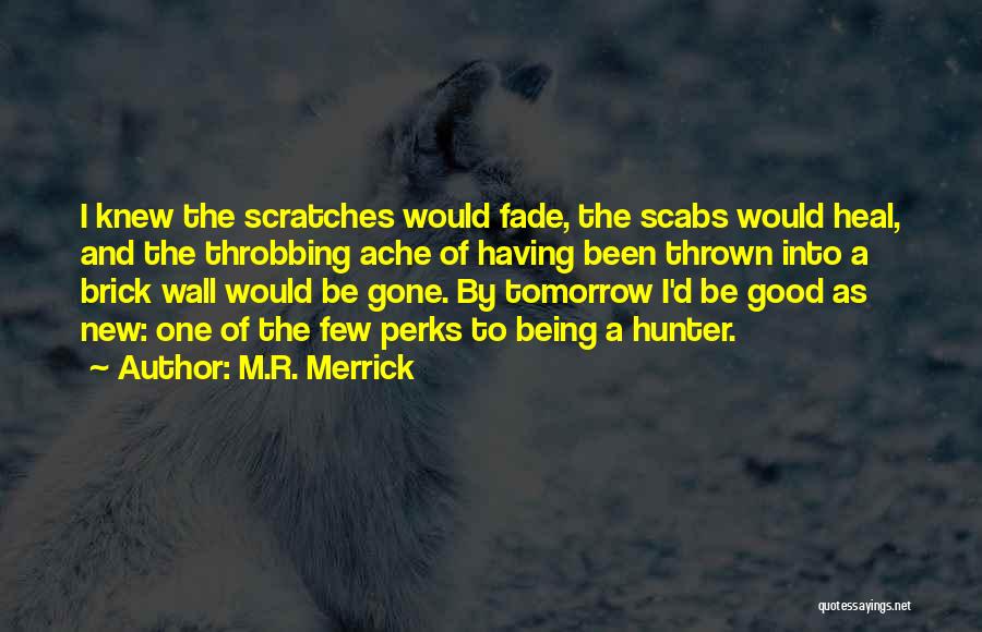 M.R. Merrick Quotes: I Knew The Scratches Would Fade, The Scabs Would Heal, And The Throbbing Ache Of Having Been Thrown Into A