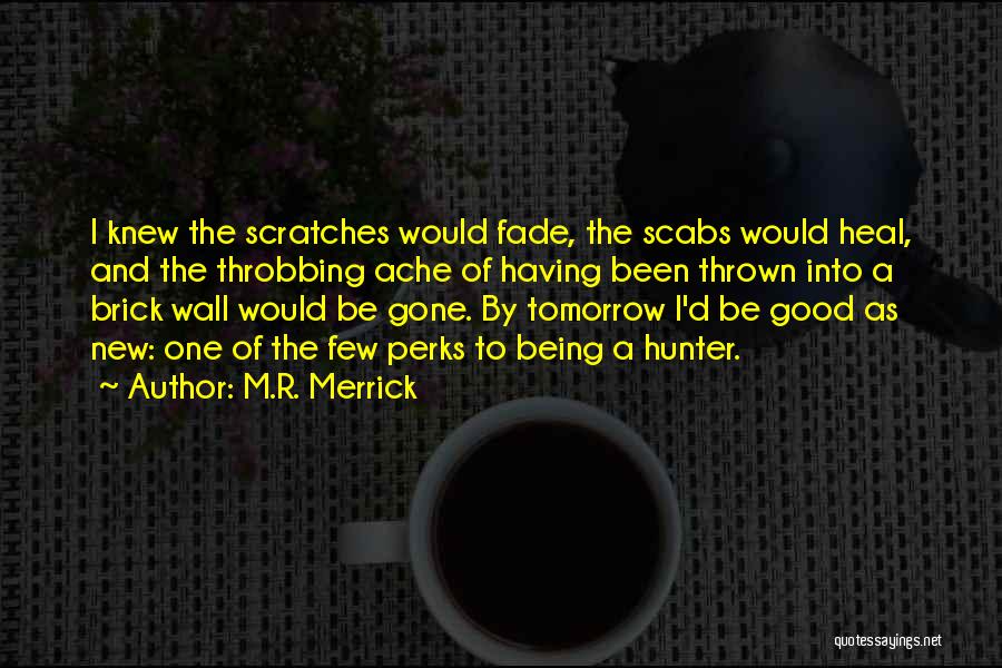 M.R. Merrick Quotes: I Knew The Scratches Would Fade, The Scabs Would Heal, And The Throbbing Ache Of Having Been Thrown Into A