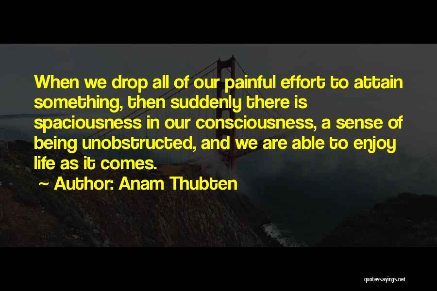 Anam Thubten Quotes: When We Drop All Of Our Painful Effort To Attain Something, Then Suddenly There Is Spaciousness In Our Consciousness, A